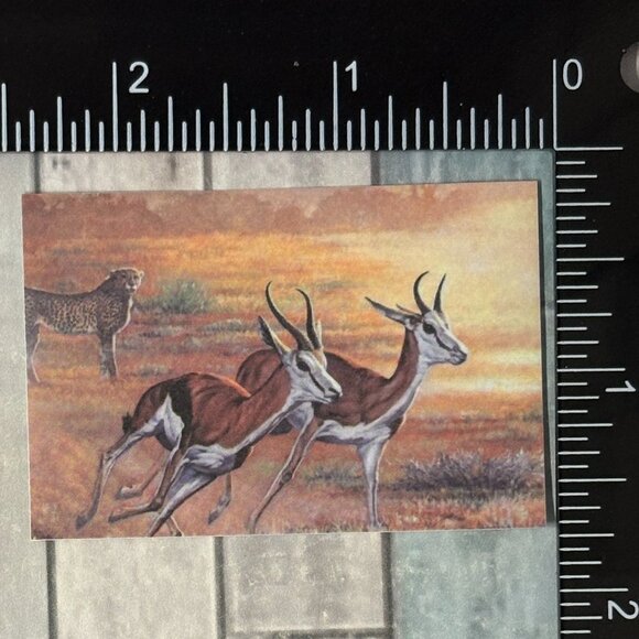 🌀10/$10🌀 Classic Grassland Animals Reusable Washi Sticker Decal - Picture 1 of 1